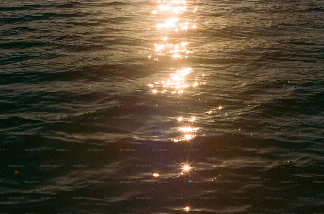 漳浦开渔 千帆竞发赴蓝海